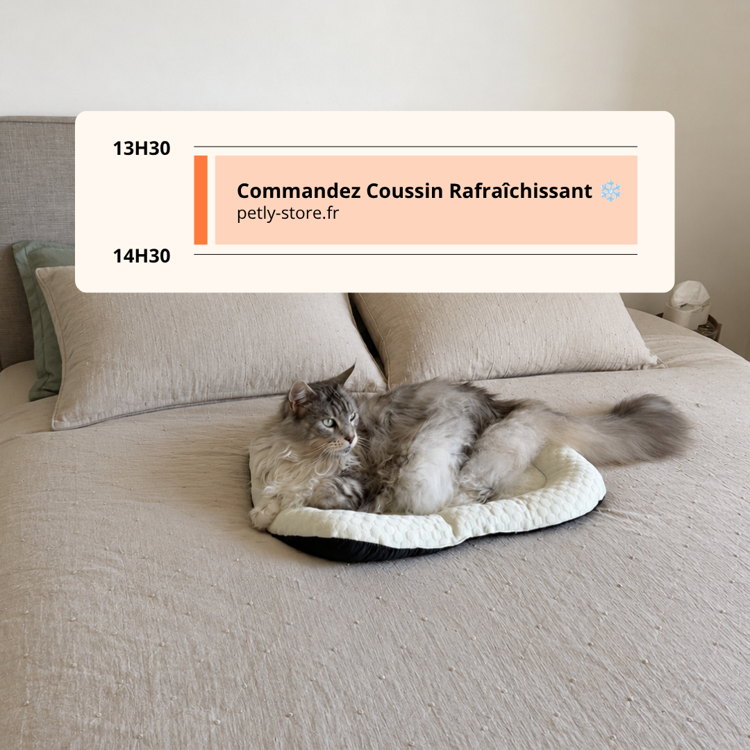 Coussin Rafraîchissant