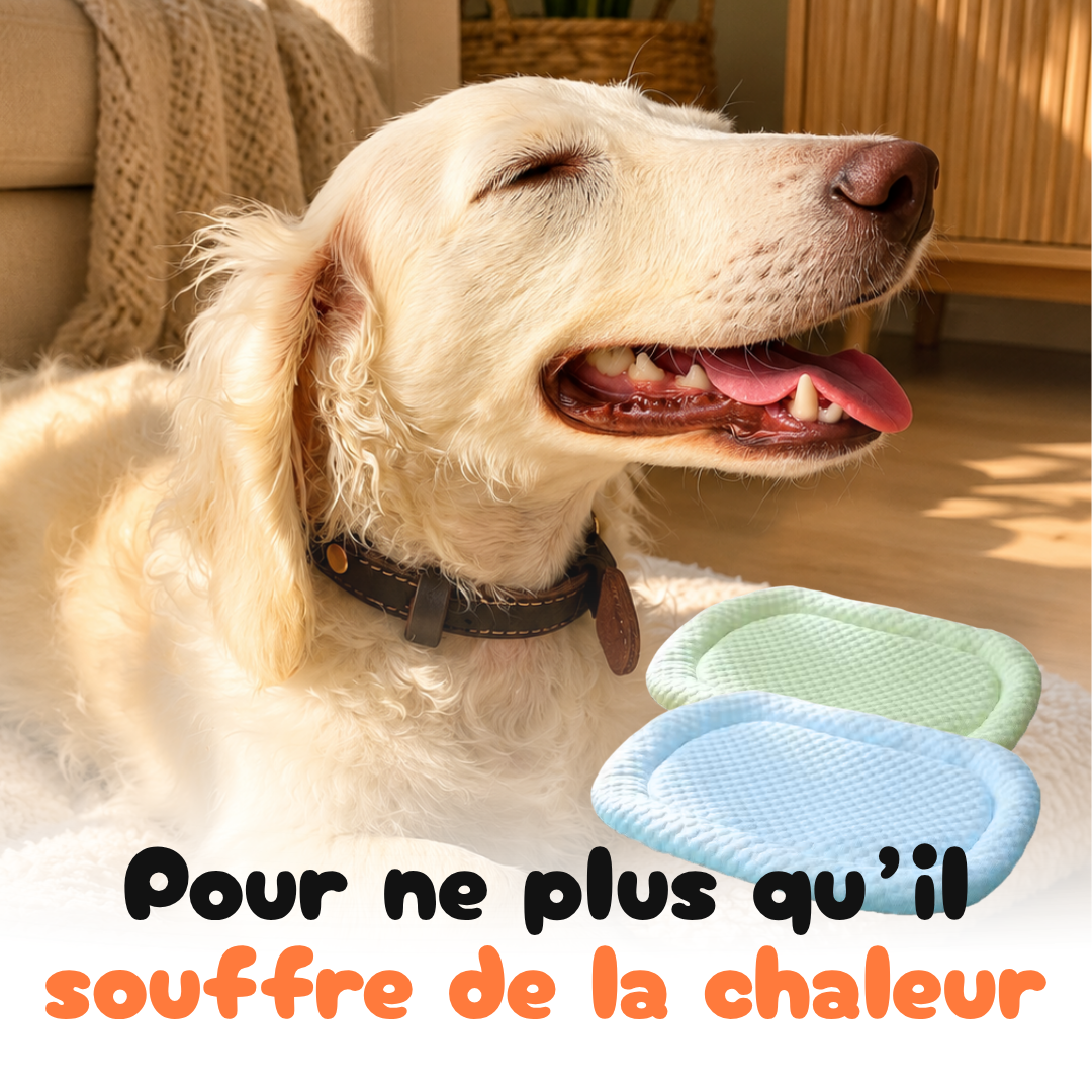 Coussin Rafraîchissant