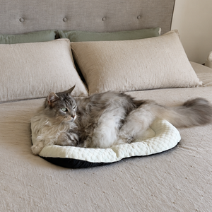 Coussin Rafraîchissant